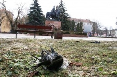 СМИ: В Тернополе массово гибнут птицы