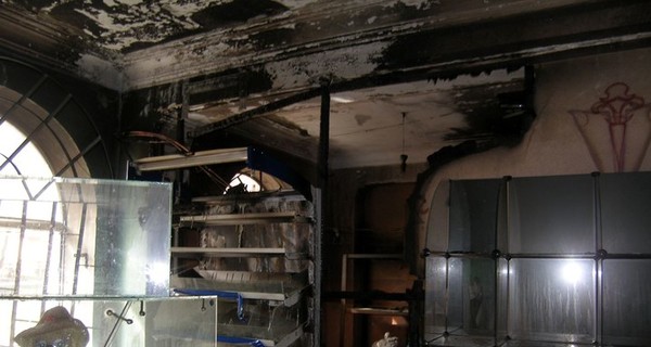 В Донецке с помощью 