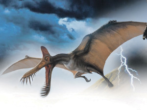 Палеонтологи изучили чучело дракона, якобы убитого под Римом в 1691 году 