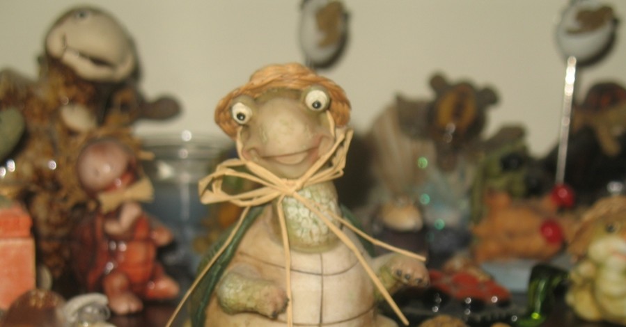 Тернопольчанка продает коллекцию черепах чтобы вылечить танцора от лейкемии
