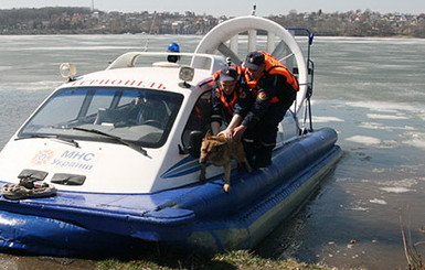 Тернопольские спасатели освободили собаку из ледяной ловушки