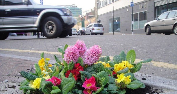 Киевские ямы залатают цветами