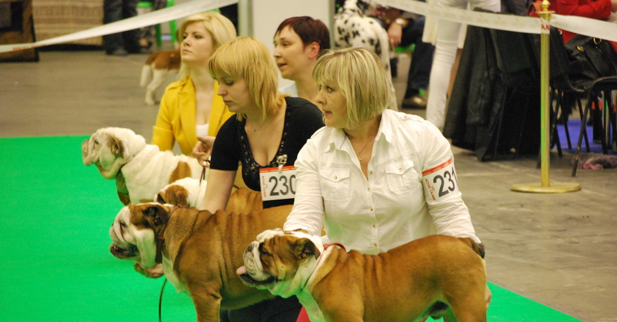 Лучшие собаки мира - в Киеве
