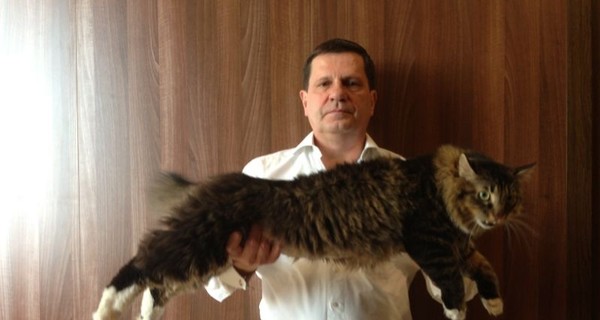 Мэр Одессы Костусев показал своего кота, который его царапал