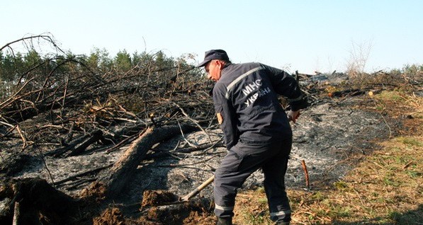На Тернопольщине горел национальный парк