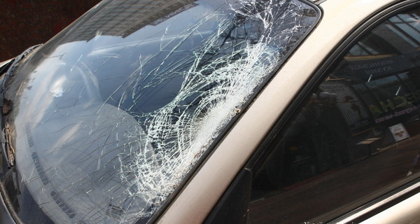 В центре Киева упавшая огромная ветка разбила авто