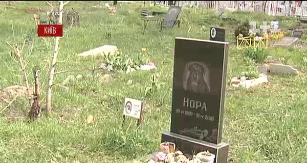 В Киеве крупнейшее кладбище для животных под угрозой сноса 