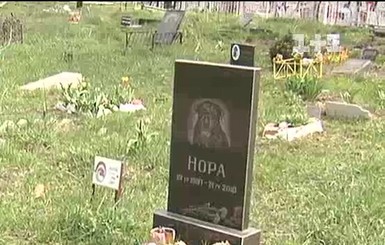 В Киеве хотят ликвидировать кладбище домашних животных