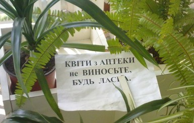 Киевские аптекари: хватит воровать у нас цветы!