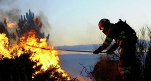 На юге Сербии горят 100 гектаров леса 
