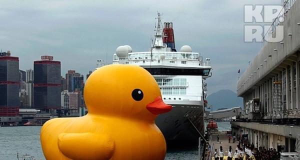В Гонконг приплыла самая большая в мире надувная утка