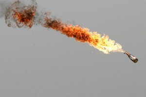 В Житомире иностранец забросал кафе 