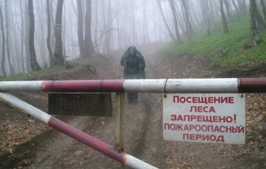 Киевлян до самой осени планируют не пускать в леса и парки