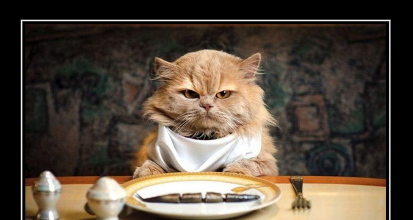 5 самых распространенных заблуждений при заказе еды через Интернет.