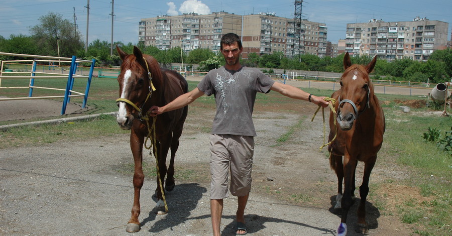 Под Донецком заработал приют для лошадей-пенсионеров 
