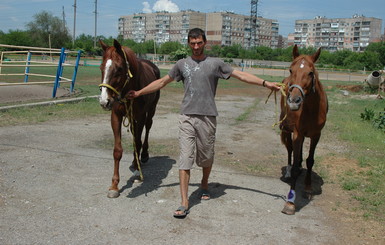 Под Донецком заработал приют для лошадей-пенсионеров 