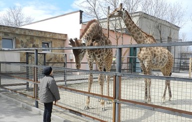 В крымском сафари-парке 