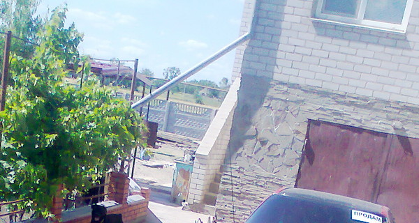 Заступившись за пса, бывший гаишник избил двоих парней 