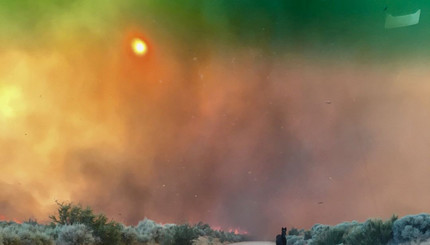 Калифорнию атаковали масштабные лесные пожары.