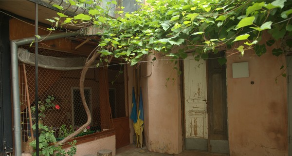 Душевнобольной снова напал на медиков 