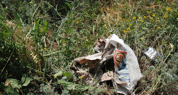 В Запорожье собаки до полусмерти покусали мужчину, который пошел встретить 