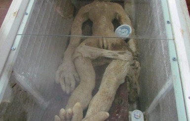 Китайский крестьянин отсидел пять суток за желание прославиться с помощью резинового 