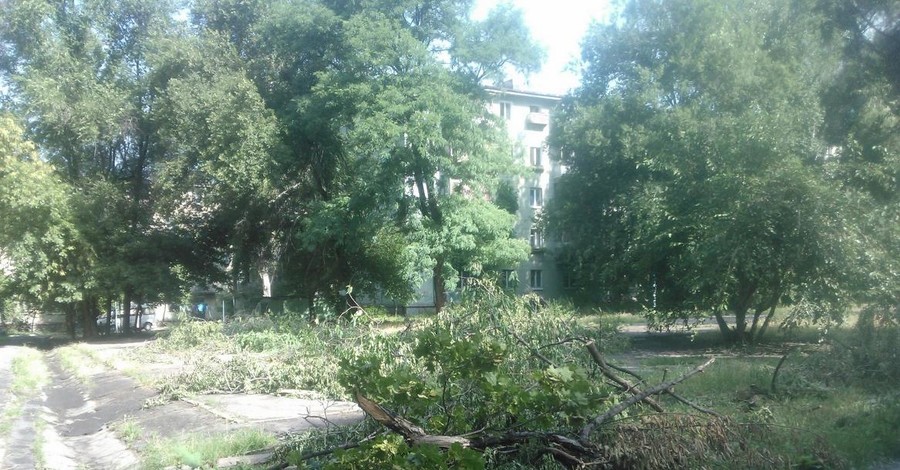 В Запорожье ночной ураган рвал провода и валил деревья