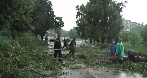 В Черкасской области ураган ломал деревья