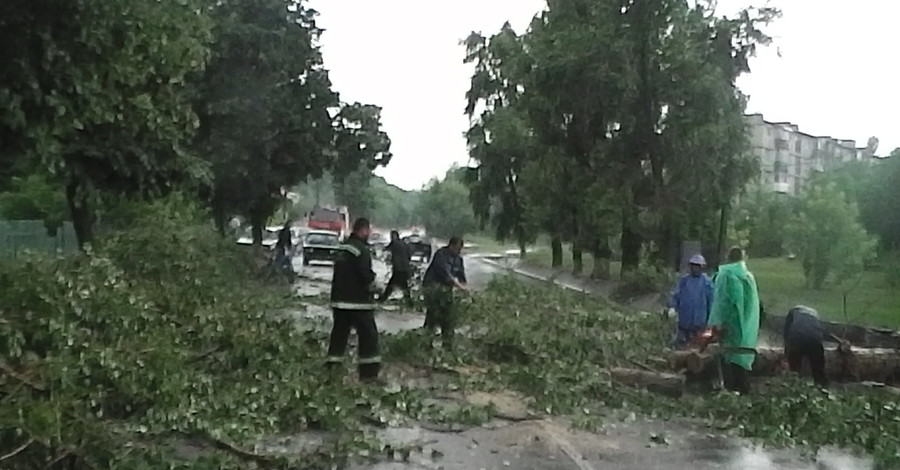 В Черкасской области ураган ломал деревья