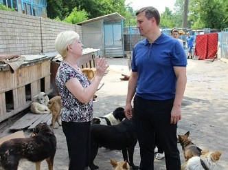 Кто поможет бездомным животным?