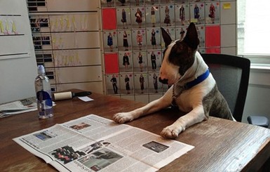 Дизайнер Марк Джейкобс устроил своего пса на должность редактора журнала