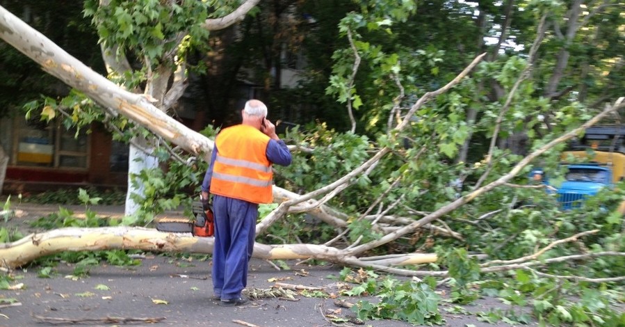 В Одессе упавшая ветка отправила прохожего в больницу