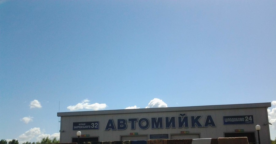 Намылил себя, намылил кота - и на мойку с утра! 