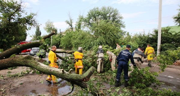 В Мелитополе дерево рухнуло на проезжающую мимо 
