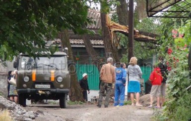 В Житомирской области пенсионера убило упавшее дерево