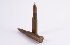 Чиновника, застрелившего парня на охоте, отпустили под залог