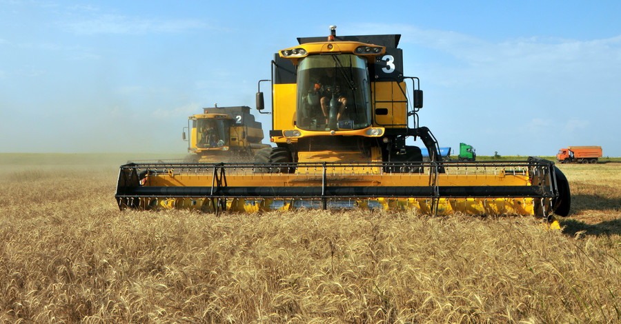 В Украине планируют собрать хороший урожай 
