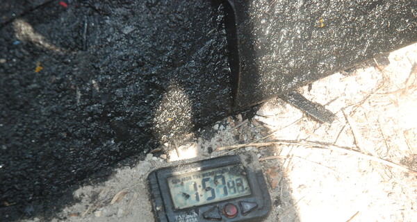 ДТП с маршруткой и троллейбусом в Запорожье: пассажирка потеряла память и смогла вспомнить только свое имя