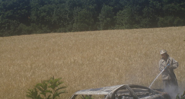 Попав в ДТП, водитель умер от удара током