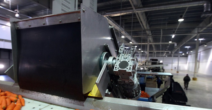 Кто покупает нашу морковь и картофель? 