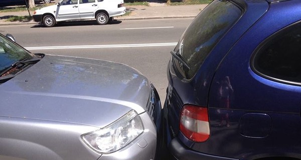 В Киеве новый вид 