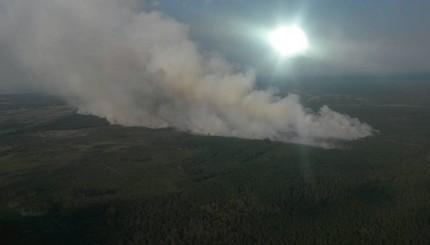 Пожар в заповеднике на границе с Беларусью