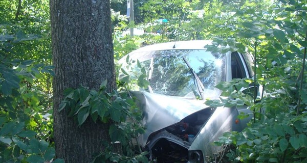 Водитель, сбивший насмерть человека, врезался в дерево, убегая с места ДТП
