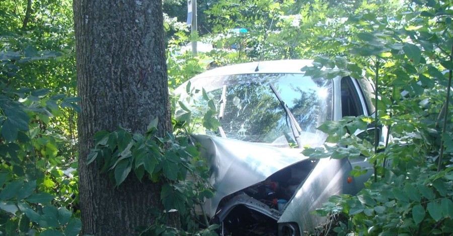 Водитель, сбивший насмерть человека, врезался в дерево, убегая с места ДТП