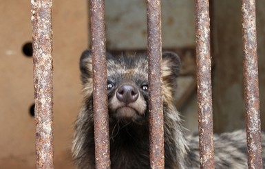 В Померках ликвидируют частный зоопарк