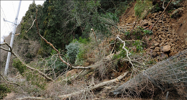 Землетрясение в Новой Зеландии повредило здание парламента 