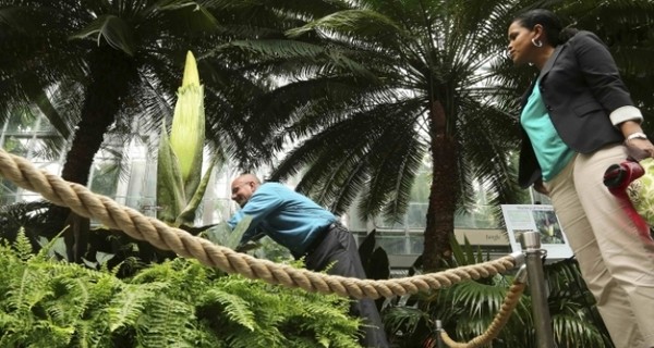 В Вашингтоне – огромные очереди. Американцев хотят посмотреть на 