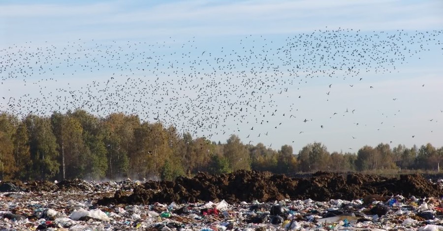 Украинцев хотят обложить налогом на бытовые отходы