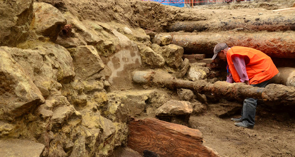 Археологи раскопали на Городоцкой древний мост через реку