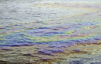 На пляже в Севастополе – огромное нефтяное пятно